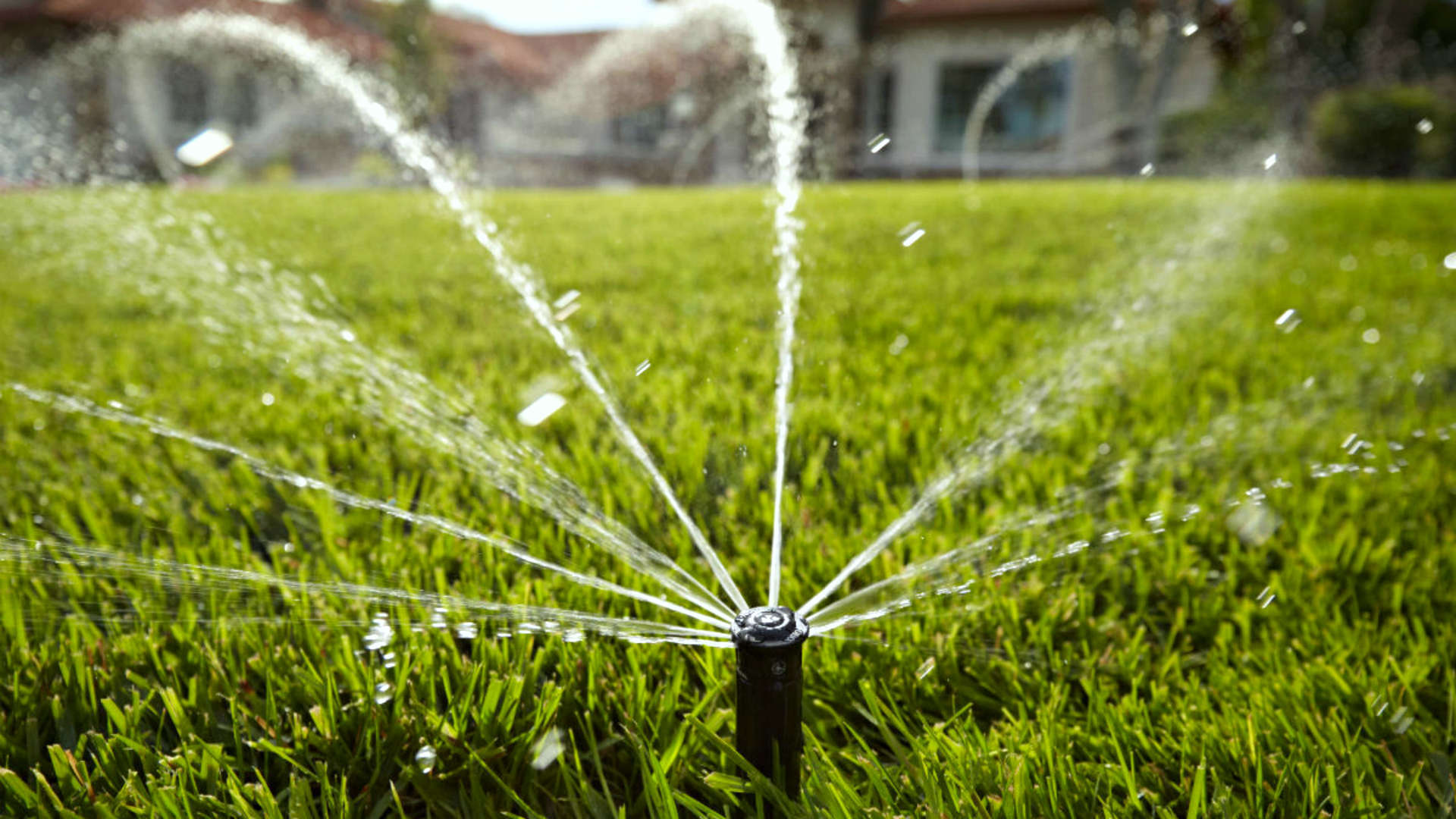 Sprinkler SOS Swift and Reliable Irrigation System Repair